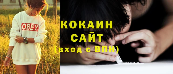 тгк Нея
