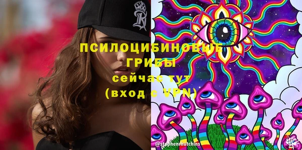 тгк Нея
