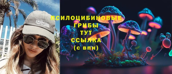 тгк Нея